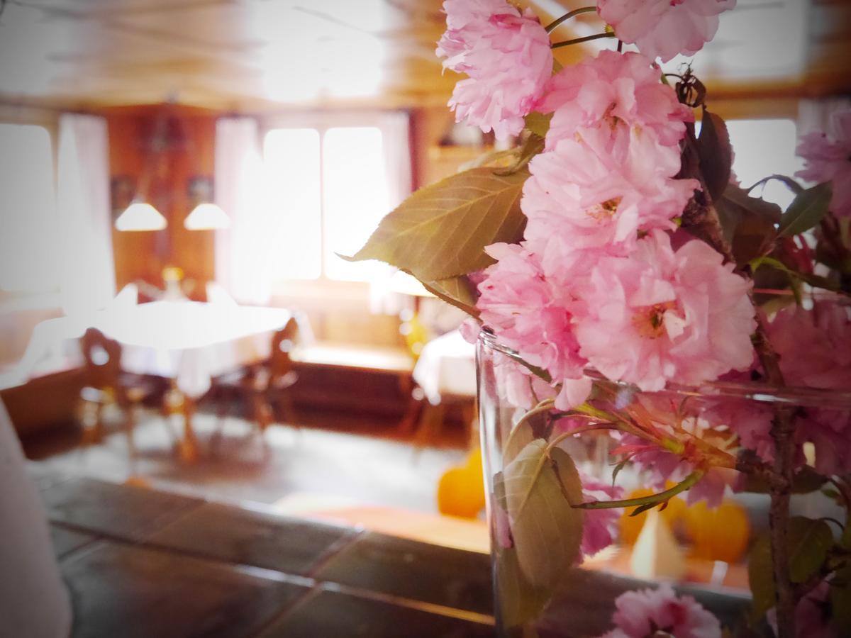 Zum Hirschen - Hotel & Gasthaus Beim Stoeckeler ไชเดกก์ ภายนอก รูปภาพ